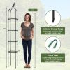 2-Pack Garden Obelisk Trellis for Climbing Plants