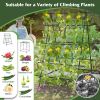 A-Frame Garden Cucumber Trellis with Netting for Climbing Plants Outdoor