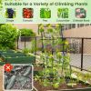 74 Inch Tall Garden Trellis for Flower Vine Vegetable Fruit Pea